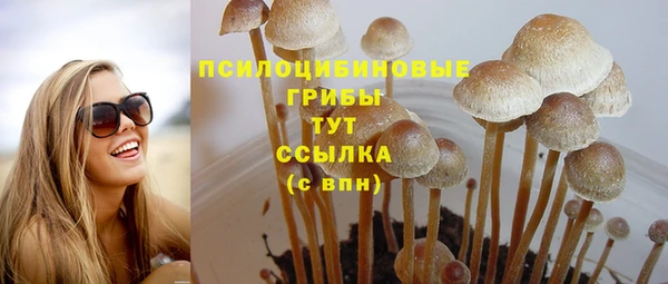 винт Гусев