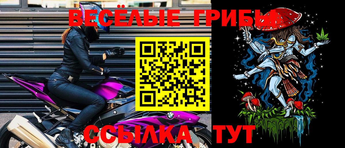 Псилоцибиновые грибы Psilocybe  Псилоцибиновые грибы Magic Shrooms  Вход с VPN  Нурлат 